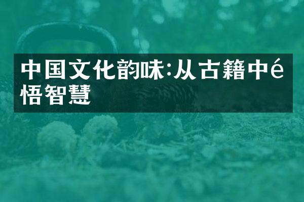 中国文化韵味:从古籍中领悟智慧
