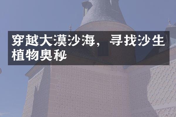 穿越大漠沙海，寻找沙生植物奥秘