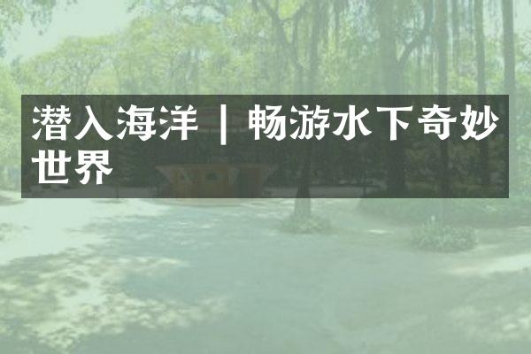 潜入海洋 | 畅游水下奇妙世界