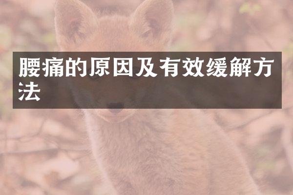 腰痛的原因及有效缓解方法