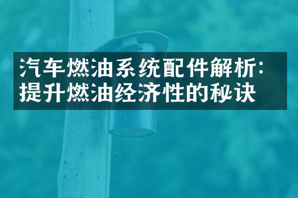 汽车燃油系统配件解析：提升燃油经济性的秘诀