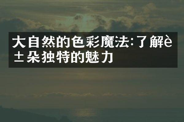 大自然的色彩魔法:了解花朵独特的魅力