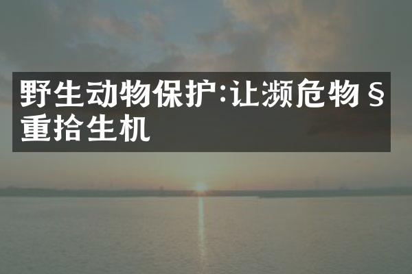 野生动物保护:让濒危物种重拾生机