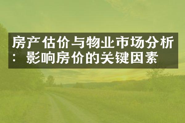 房产估价与物业市场分析：影响房价的关键因素