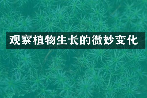 观察植物生长的微妙变化