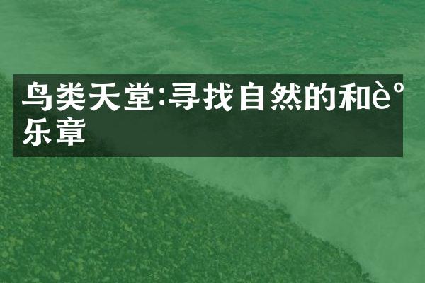 鸟类天堂:寻找自然的和谐乐章