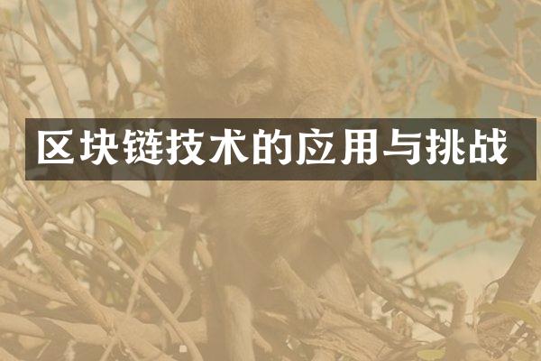 区块链技术的应用与挑战