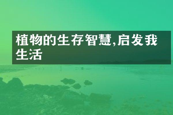 植物的生存智慧,启发我们生活