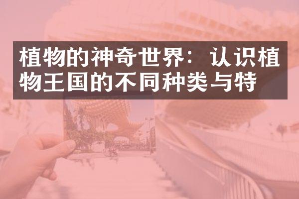 植物的神奇世界：认识植物王国的不同种类与特点