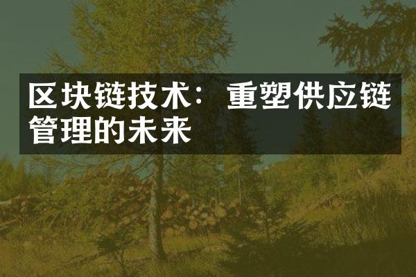 区块链技术：重塑供应链管理的未来
