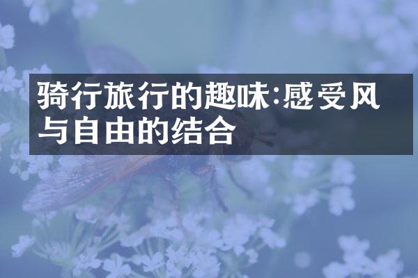 骑行旅行的趣味:感受风景与自由的结合