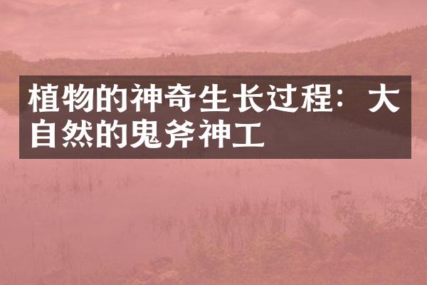 植物的神奇生长过程：大自然的鬼斧神工