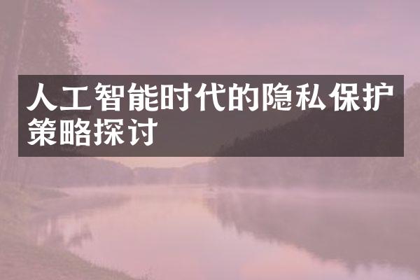 人工智能时代的隐私保护策略探讨