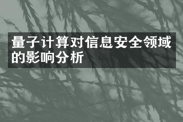量子计算对信息安全领域的影响分析