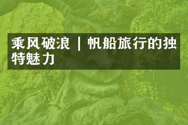 乘风破浪 | 帆船旅行的独特魅力