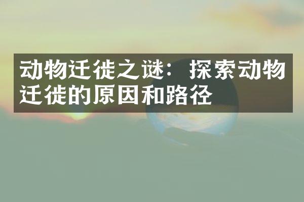 动物迁徙之谜：探索动物迁徙的原因和路径