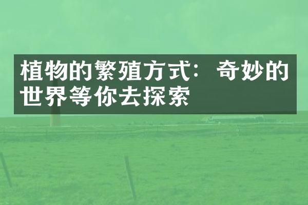 植物的繁殖方式：奇妙的世界等你去探索