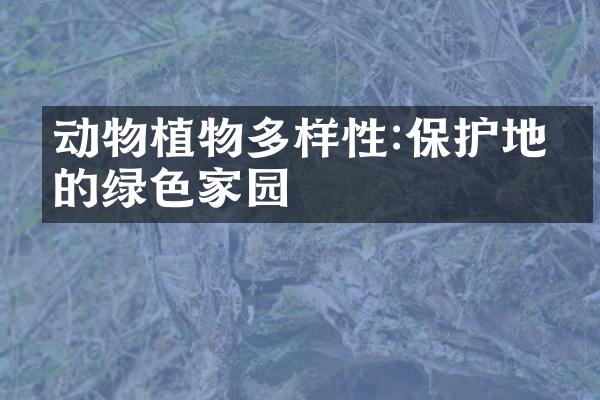 动物植物多样性:保护地球的绿色家园