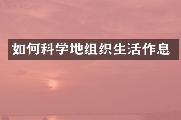 如何科学地组织生活作息