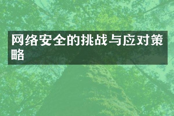 网络安全的挑战与应对策略