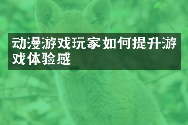 动漫游戏玩家如何提升游戏体验感