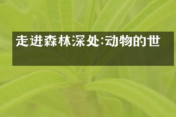 走进森林深处:动物的世界