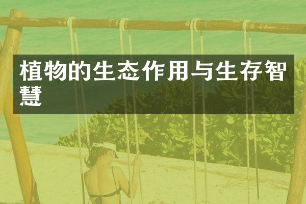 植物的生态作用与生存智慧
