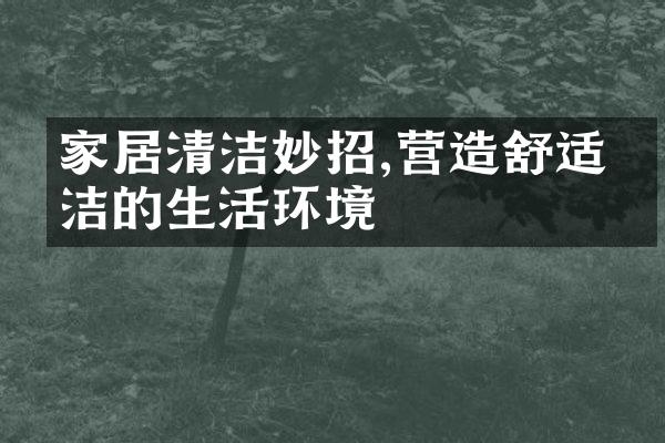 家居清洁妙招,营造舒适整洁的生活环境