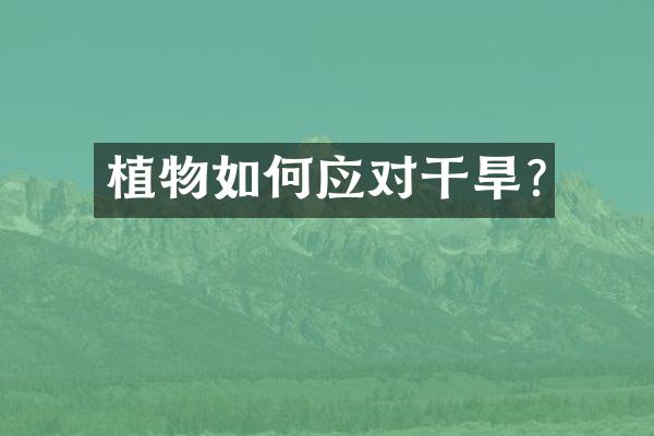 植物如何应对干旱?