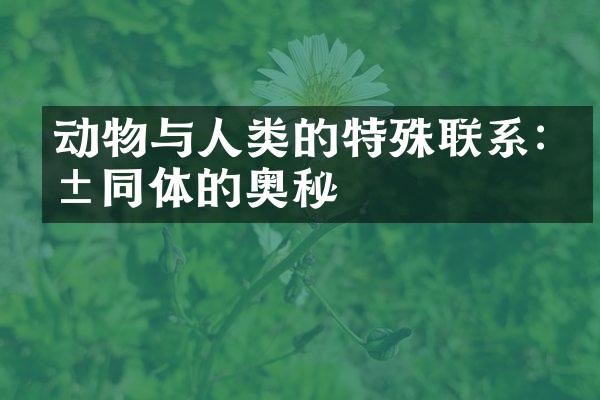 动物与人类的特殊联系:共同体的奥秘