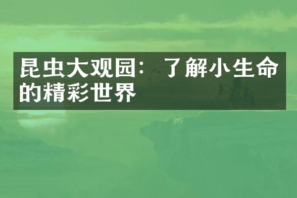 昆虫大观园：了解小生命的精彩世界