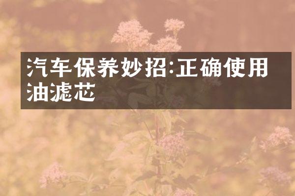 汽车保养妙招:正确使用机油滤芯