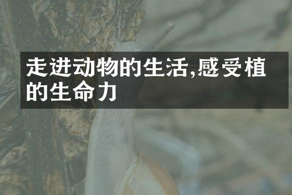 走进动物的生活,感受植物的生命力