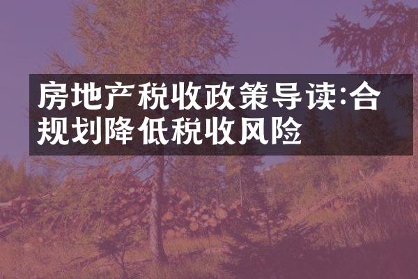 房地产税收政策导读:合理规划降低税收风险