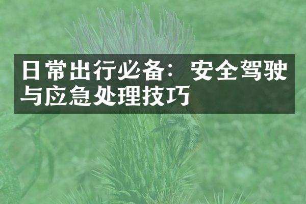 日常出行必备：安全驾驶与应急处理技巧