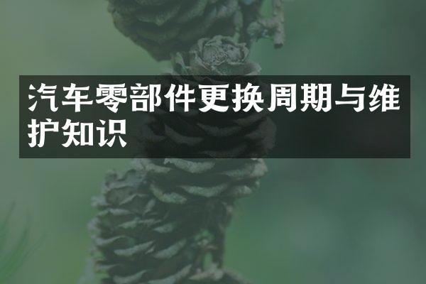 汽车零部件更换周期与维护知识
