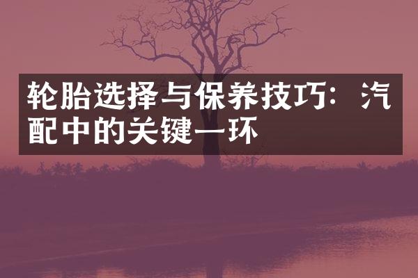 轮胎选择与保养技巧：汽配中的关键一环