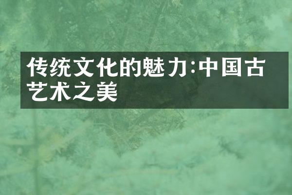 传统文化的魅力:中国古典艺术之美