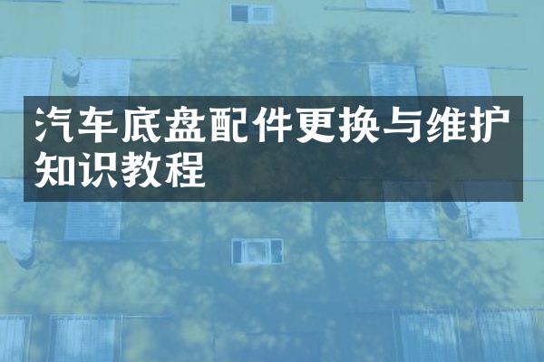 汽车底盘配件更换与维护知识教程