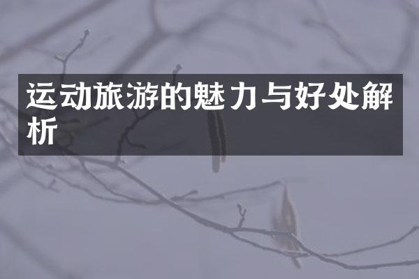 运动旅游的魅力与好处解析