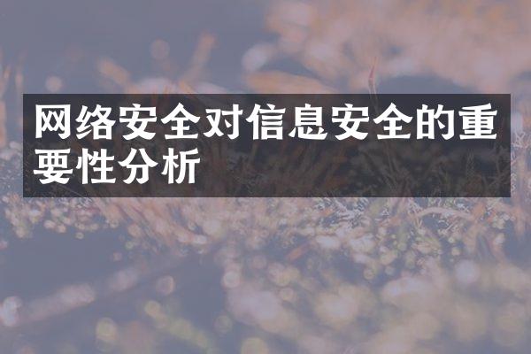 网络安全对信息安全的重要性分析