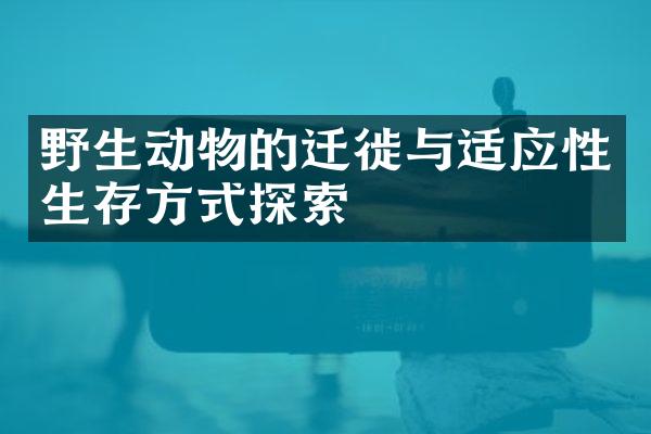 野生动物的迁徙与适应性生存方式探索