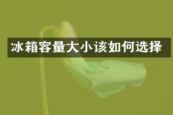 冰箱容量大小该如何选择