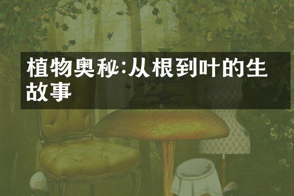 植物奥秘:从根到叶的生命故事
