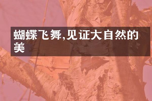 蝴蝶飞舞,见证大自然的华美