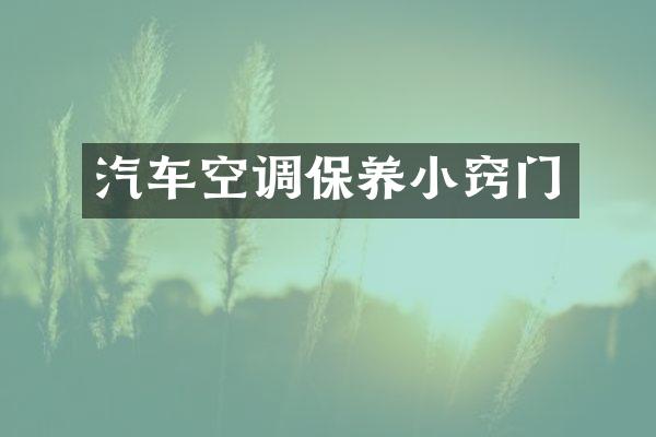 汽车空调保养小窍门