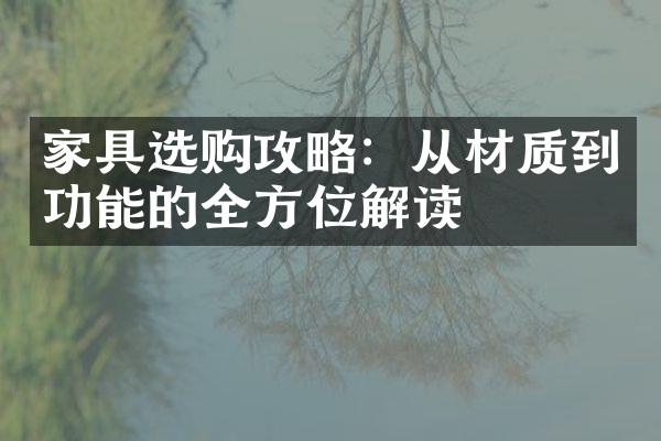 家具选购攻略：从材质到功能的全方位解读