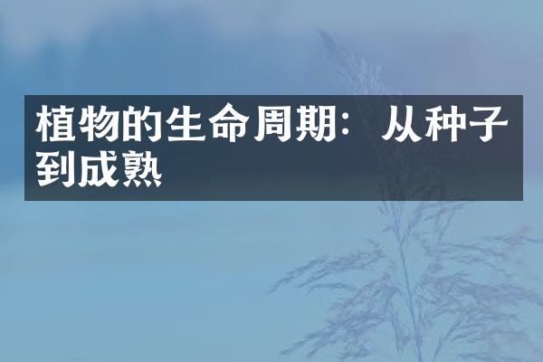 植物的生命周期：从种子到成熟