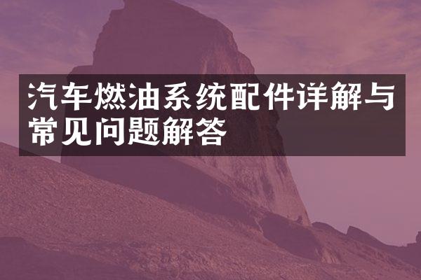 汽车燃油系统配件详解与常见问题解答