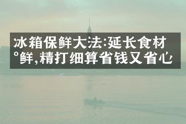 冰箱保鲜大法:延长食材新鲜,精打细算省钱又省心